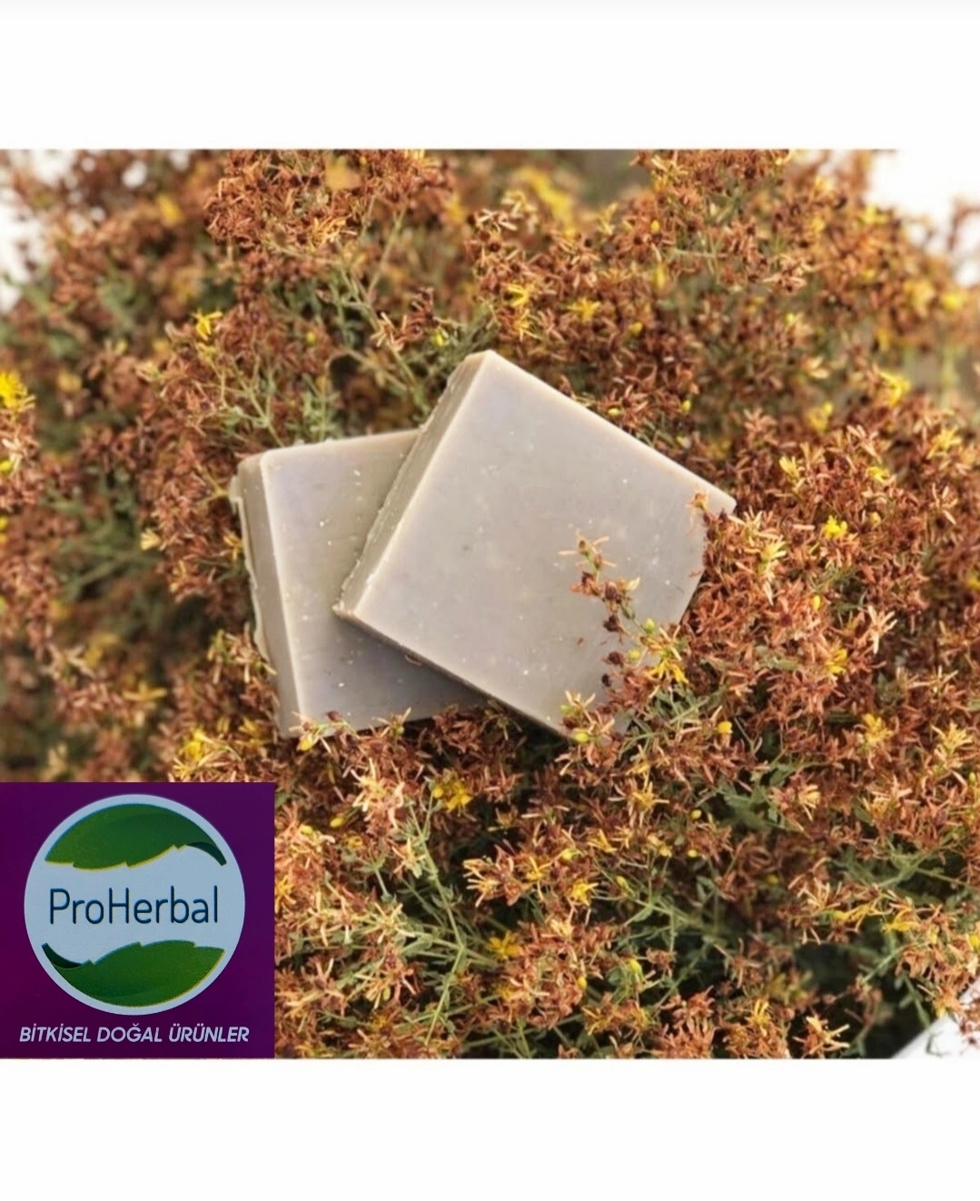 PROHERBAL KANTARON SABUNU 100 GRAM